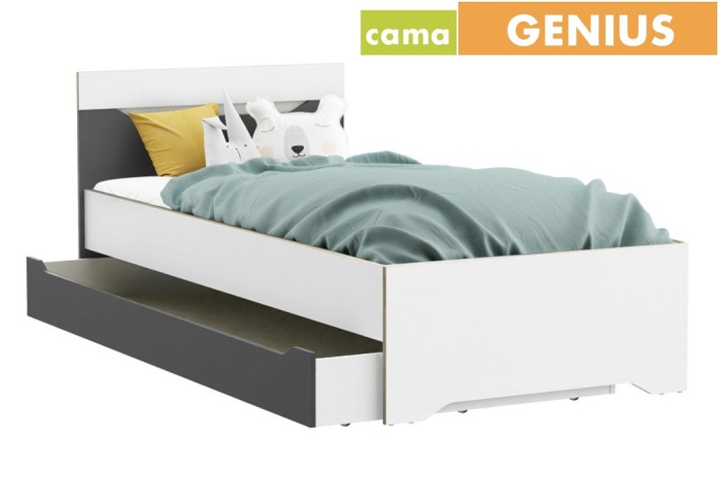 Cama GENIUS 90x190/200